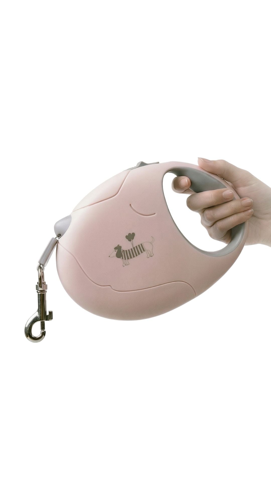 Flexi Dog Leash - רצועת פלקסי