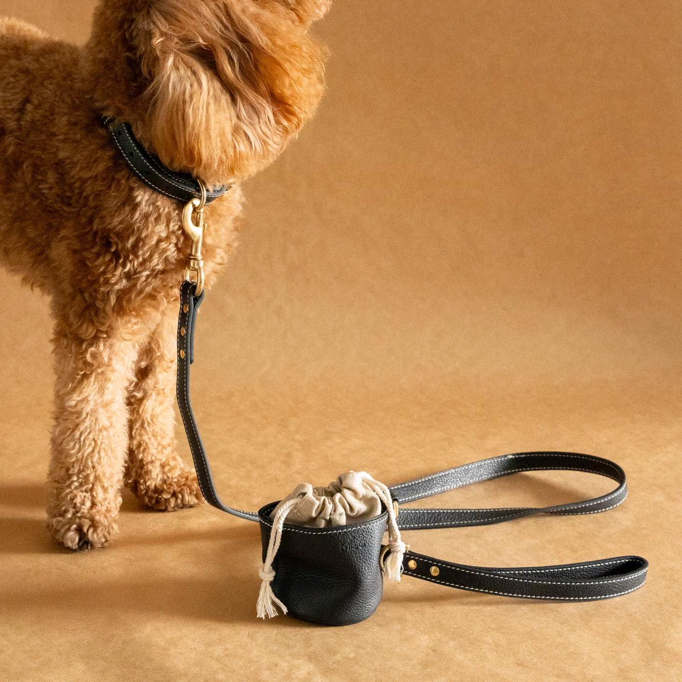 Misu Leather Set (Regular Leash) סט מעור לכלב