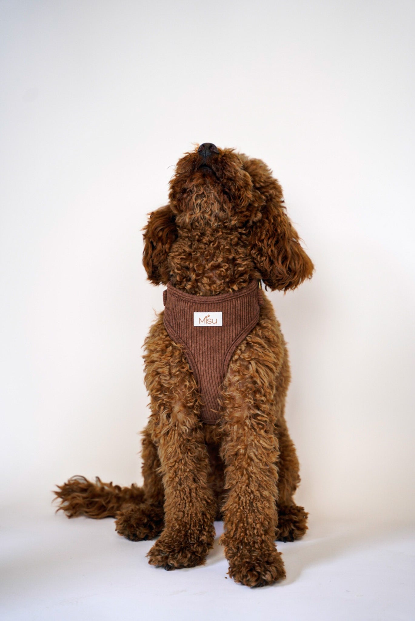 Corduroy Harness רתמה מקורדרוי לכלב