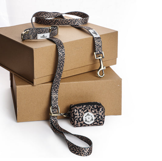 Misu Full Leopard Set סט מלא מנומר לכלב