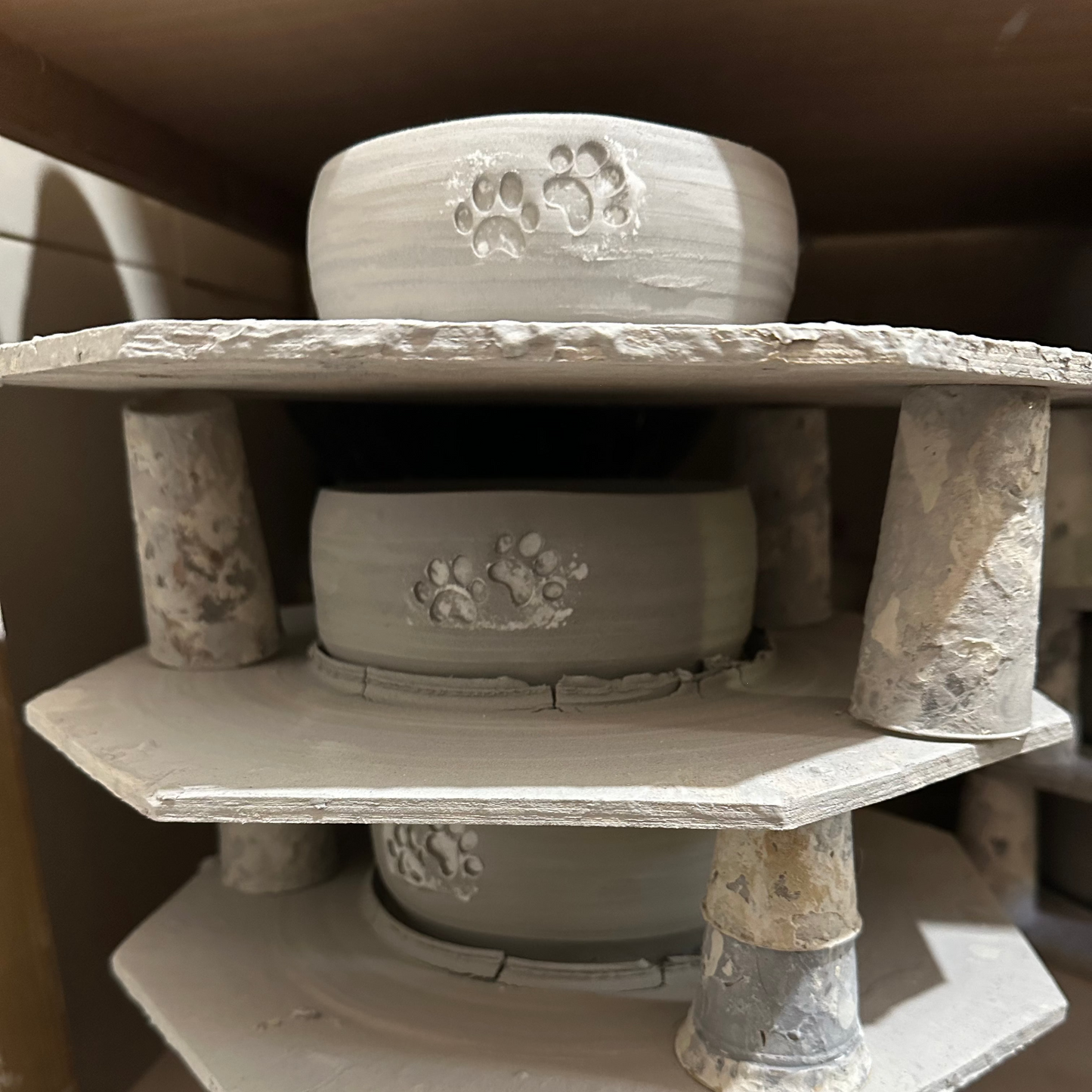 Dalmati קערה לכלב לבן מנוקד