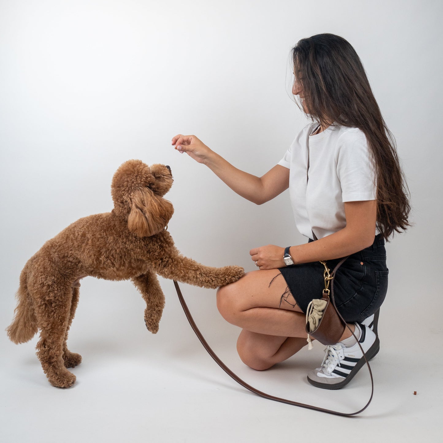 Misu Leather Set (Cross Body Leash) סט מלא מעור לכלבים עם רצועת כתף בסגנון קרוס
