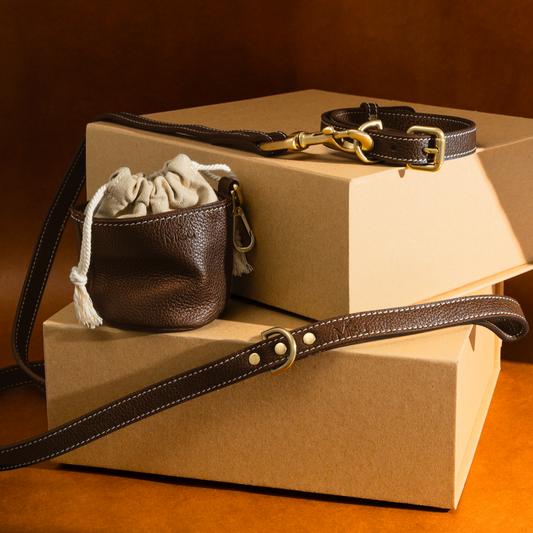 Misu Leather Set (Regular Leash) סט מעור לכלב