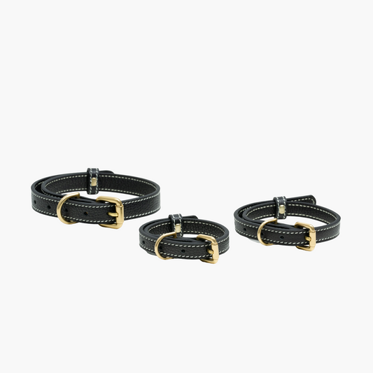 Black Leather Collar - קולר מעור לכלב