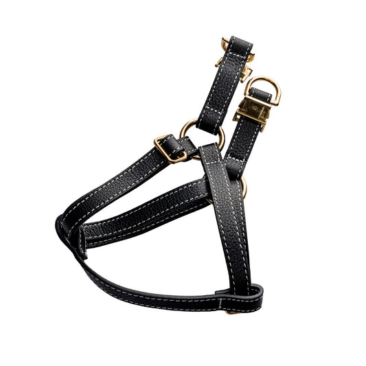 Misu Leather Harness רתמה מעור לכלב