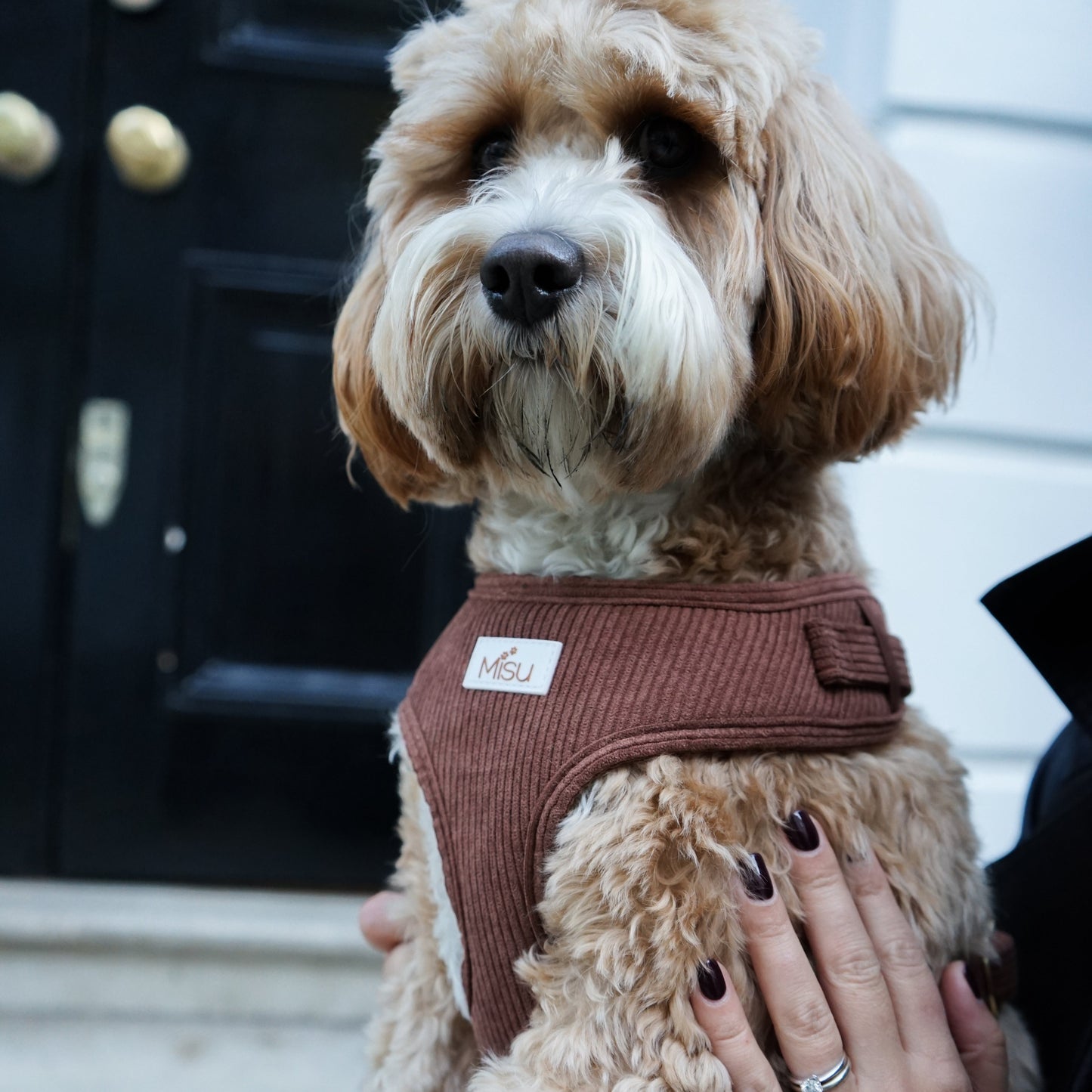 Corduroy Harness