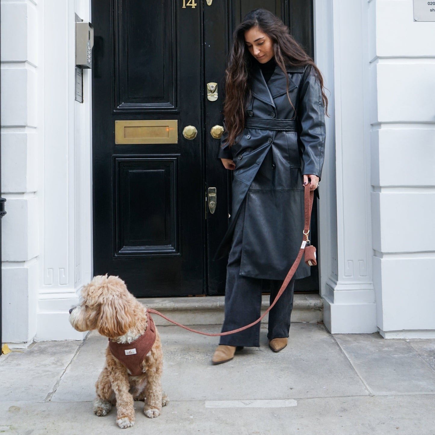 Corduroy Leash