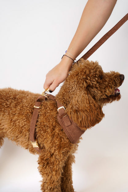Corduroy Full Set (With Harness) סט מקורדרוי לכלב