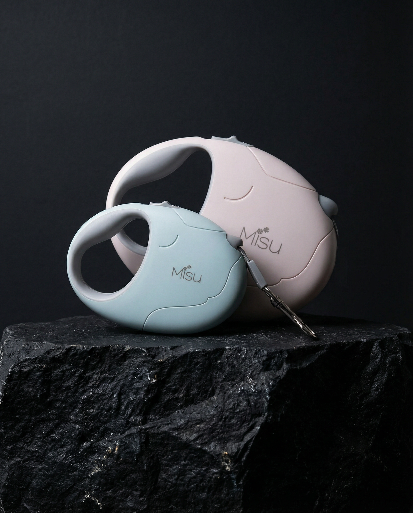 Flexi Dog Leash - רצועת פלקסי