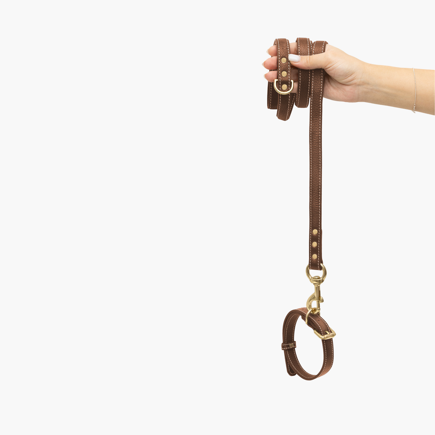 Regular Leather Leash