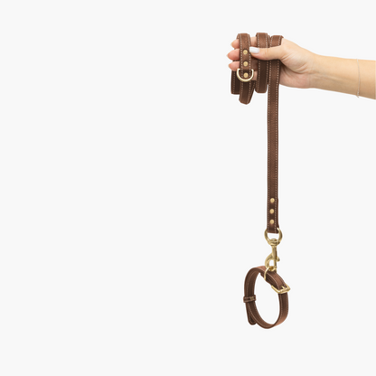 Regular Leather Leash רצועה מעור לכלב