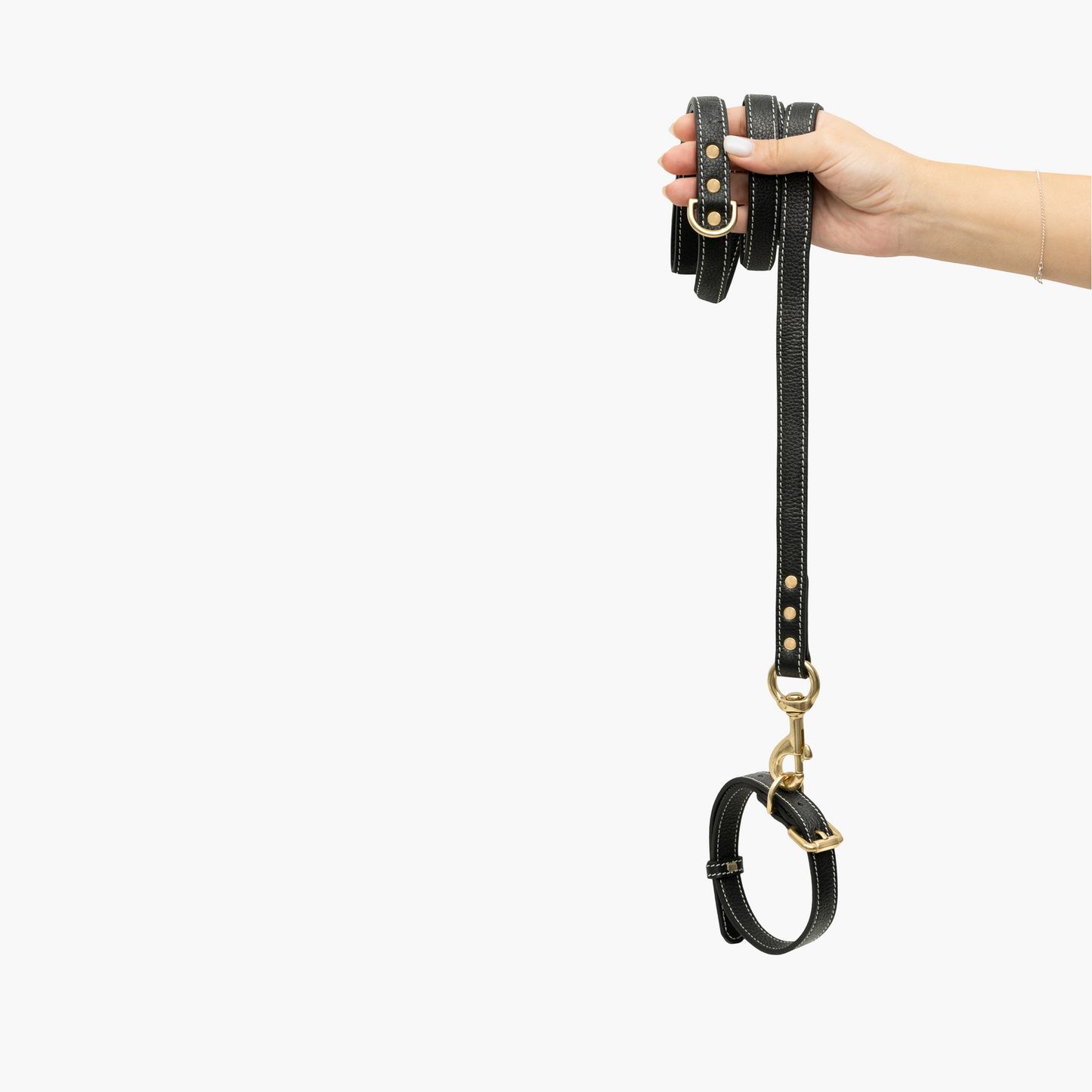 Regular Leather Leash