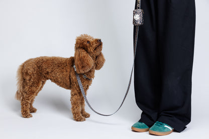Leopard Leash רצועה מנומרת לכלב
