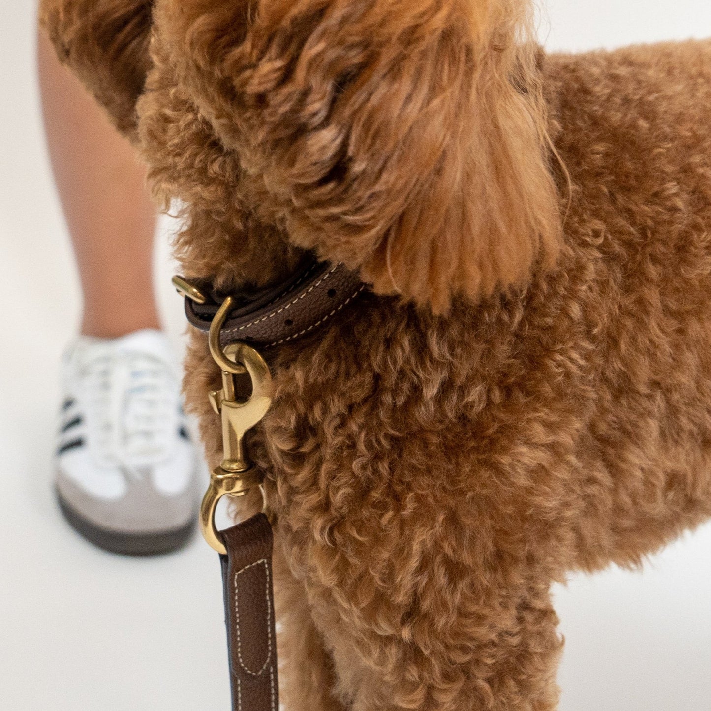 Brown Leather Collar