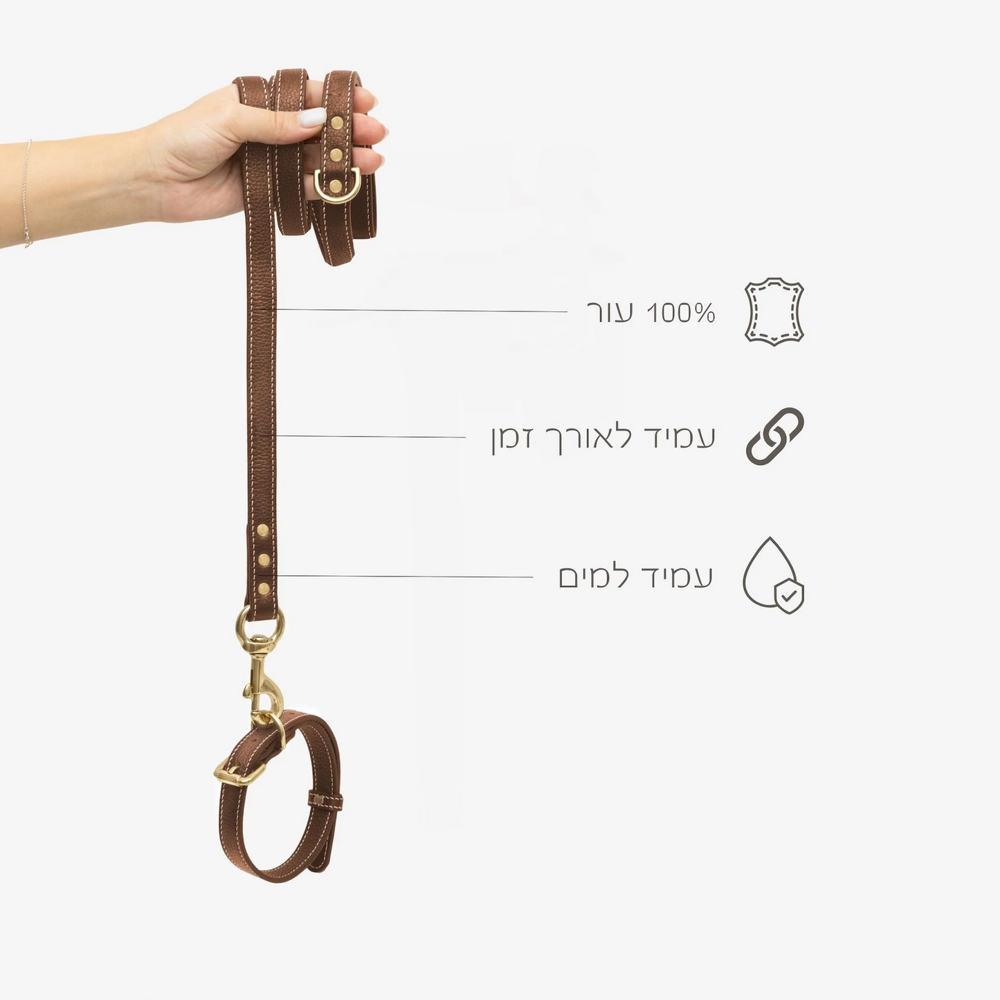 Regular Leather Leash