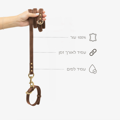 Regular Leather Leash רצועה מעור לכלב