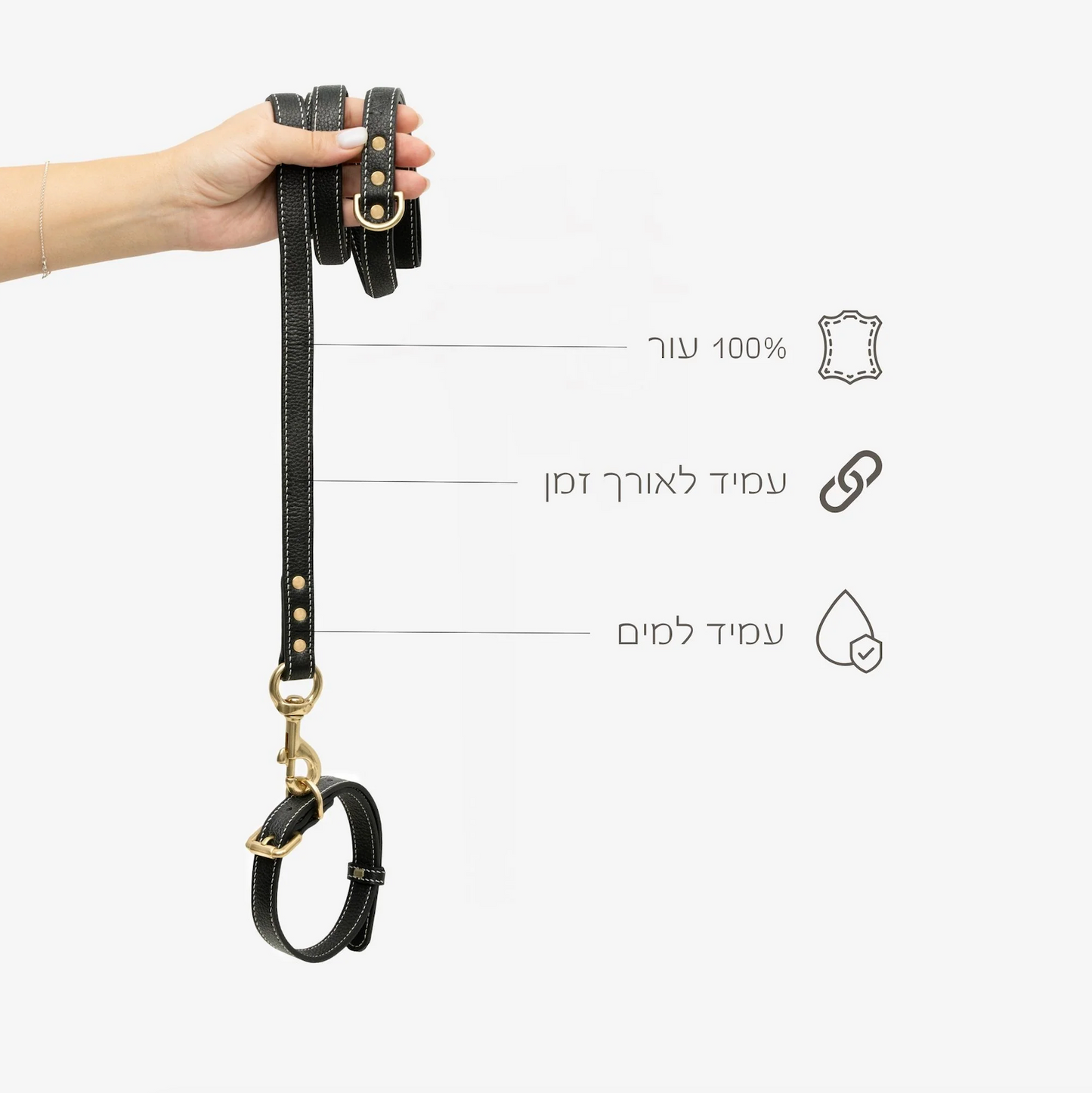 Regular Leather Leash