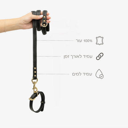Regular Leather Leash רצועה מעור לכלב