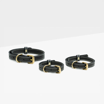 Leather Collar - קולר מעור לכלב