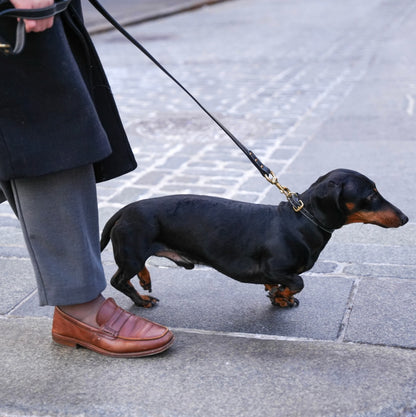 Regular Leather Leash רצועה מעור לכלב