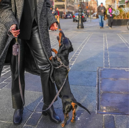 Leopard Harness רתמה מנומרת לכלב