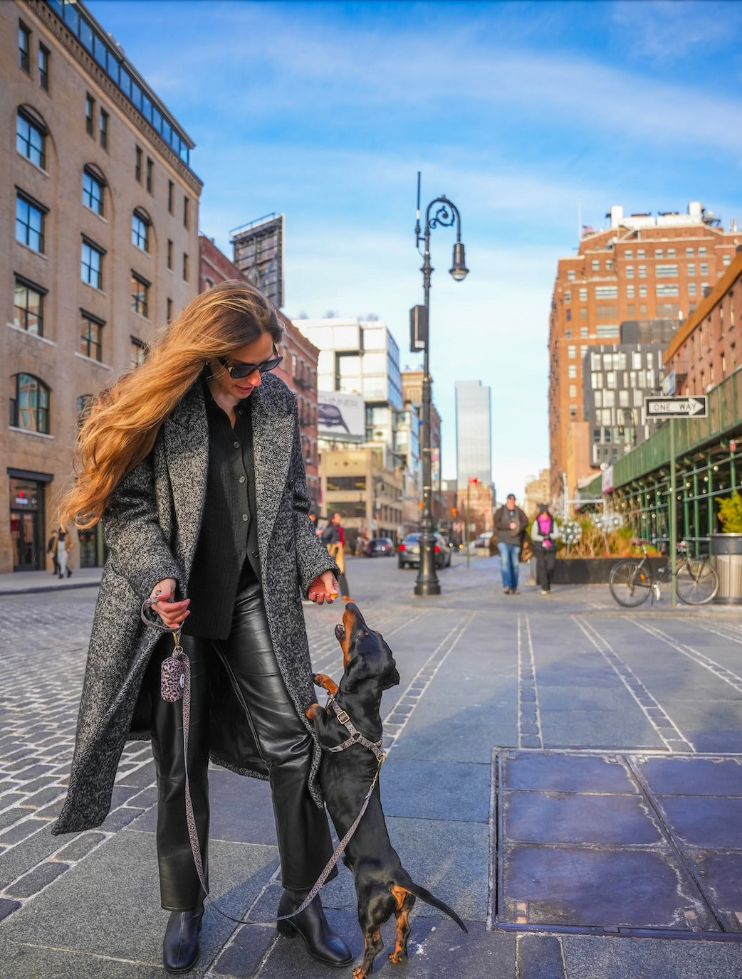 Leopard Leash רצועה מנומרת לכלב