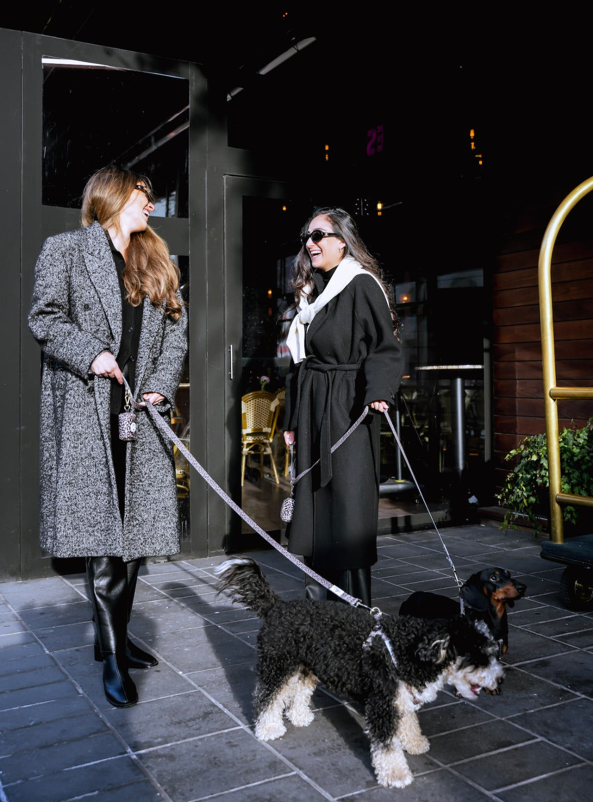 Leopard Leash רצועה מנומרת לכלב